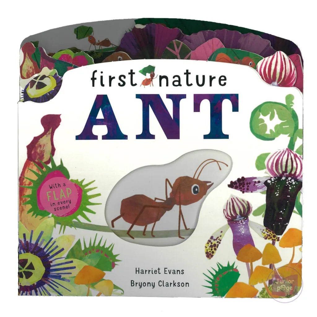 First Nature - " Ant"-rebooked, children's book, teenager's book, second hand book, english book, 小童書,青少年書,二手書,英文書