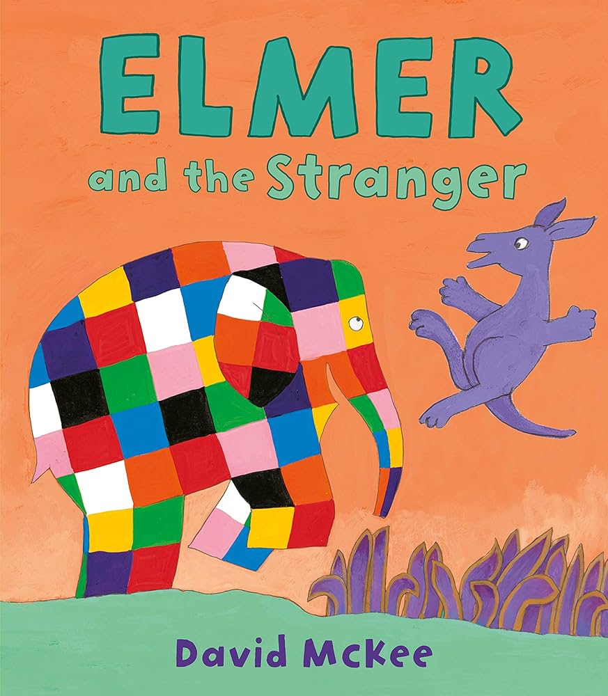 Elmer and the Stranger-rebooked, children's book, teenager's book, second hand book, english book, 小童書,青少年書,二手書,英文書