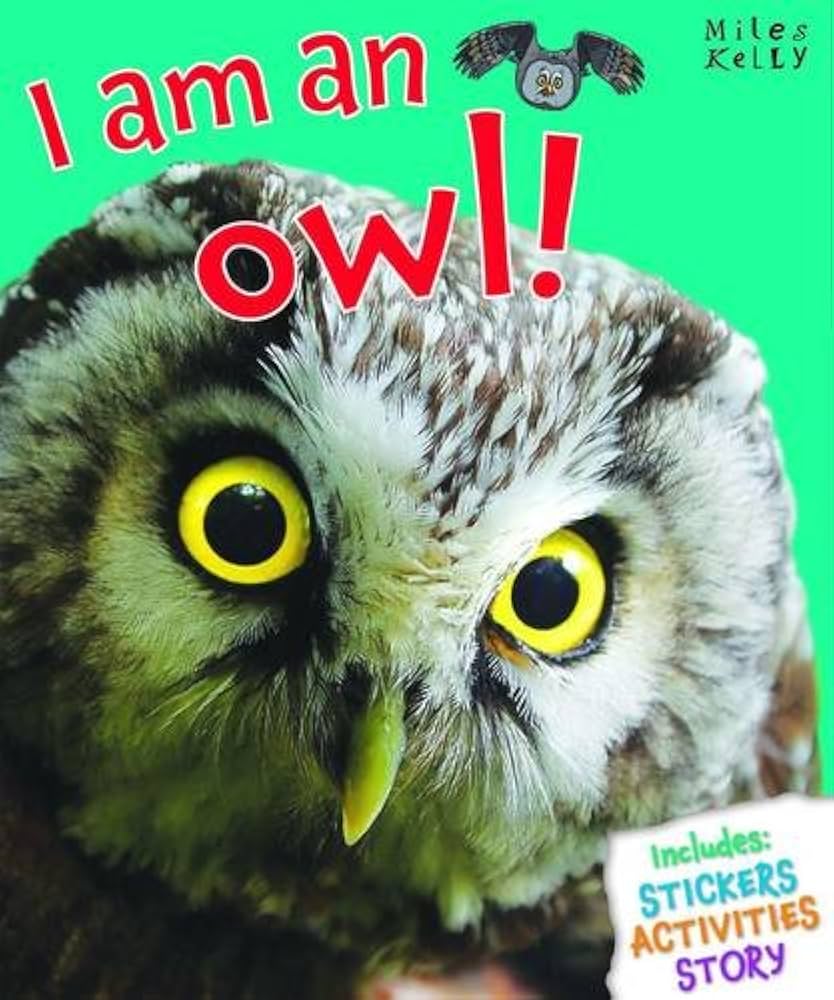 I am an Owl!-rebooked, children's book, teenager's book, second hand book, english book, 小童書,青少年書,二手書,英文書