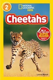 National Geographic Kids (Level 2) - "Cheetahs"-rebooked, children's book, teenager's book, second hand book, english book, 小童書,青少年書,二手書,英文書
