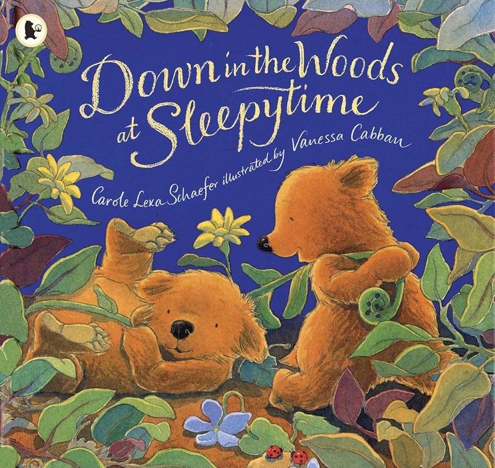 Down in the Woods at Sleepytime-rebooked, children's book, teenager's book, second hand book, english book, 小童書,青少年書,二手書,英文書