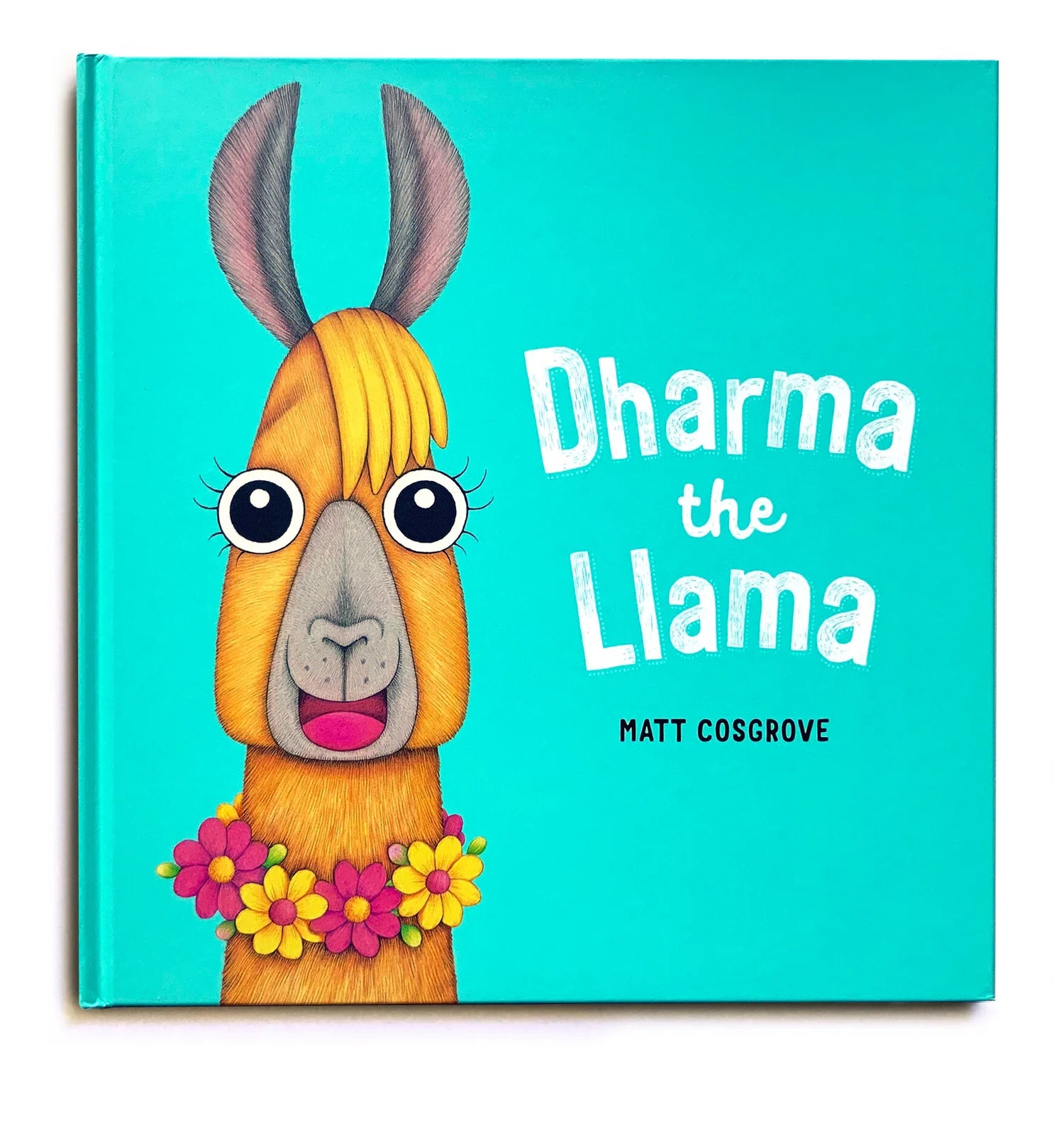 Dharma the Llama