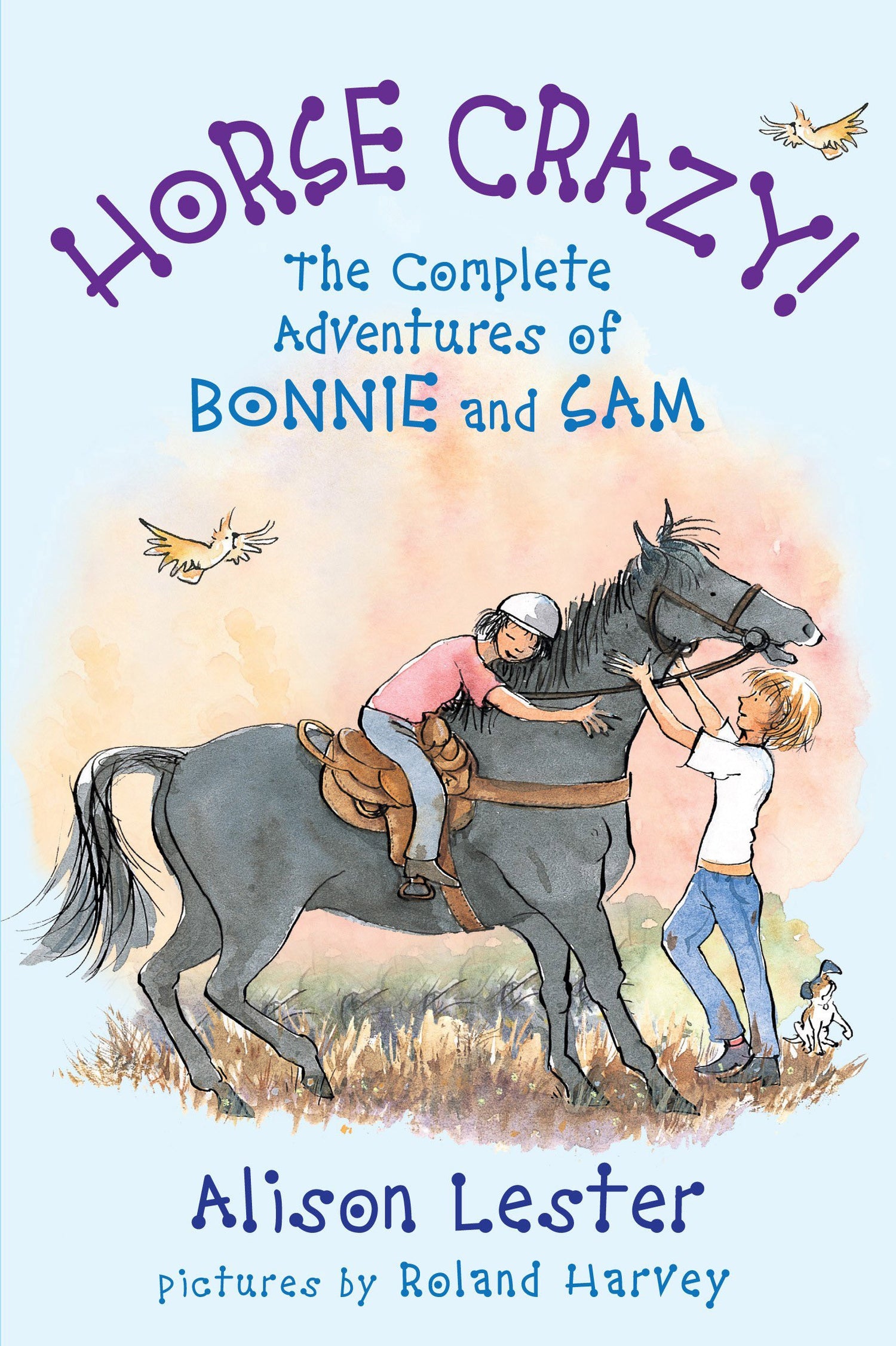 Horse Crazy (The Complete Adventures of Bonnie and Sam)-rebooked, children's book, teenager's book, second hand book, english book, 小童書，青少年書，二手書，英文書