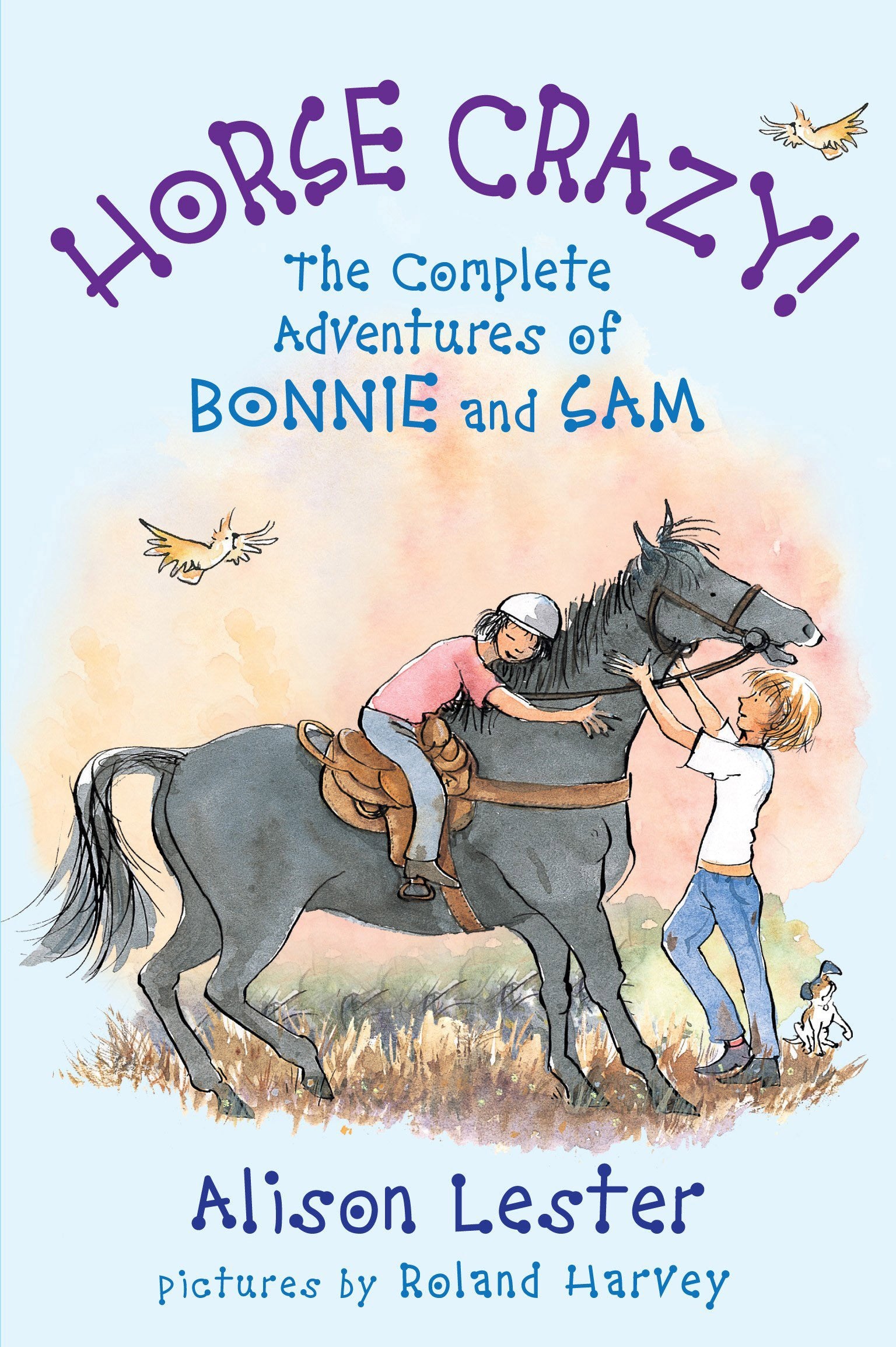 Horse Crazy (The Complete Adventures of Bonnie and Sam)-rebooked, children's book, teenager's book, second hand book, english book, 小童書，青少年書，二手書，英文書