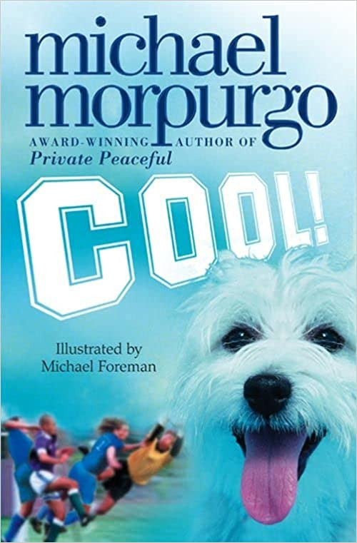 Cool!-rebooked, children's book, teenager's book, second hand book, english book, 小童書，青少年書，二手書，英文書