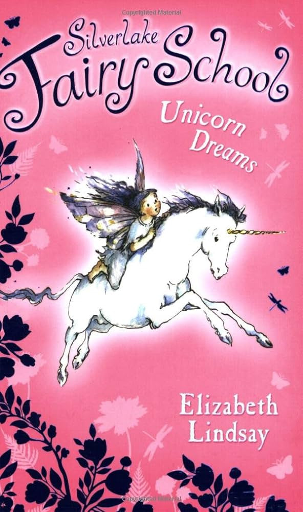 Silverlake Fairy School - "Unicorn Dreams"-rebooked, children's book, teenager's book, second hand book, english book, 小童書，青少年書，二手書，英文書