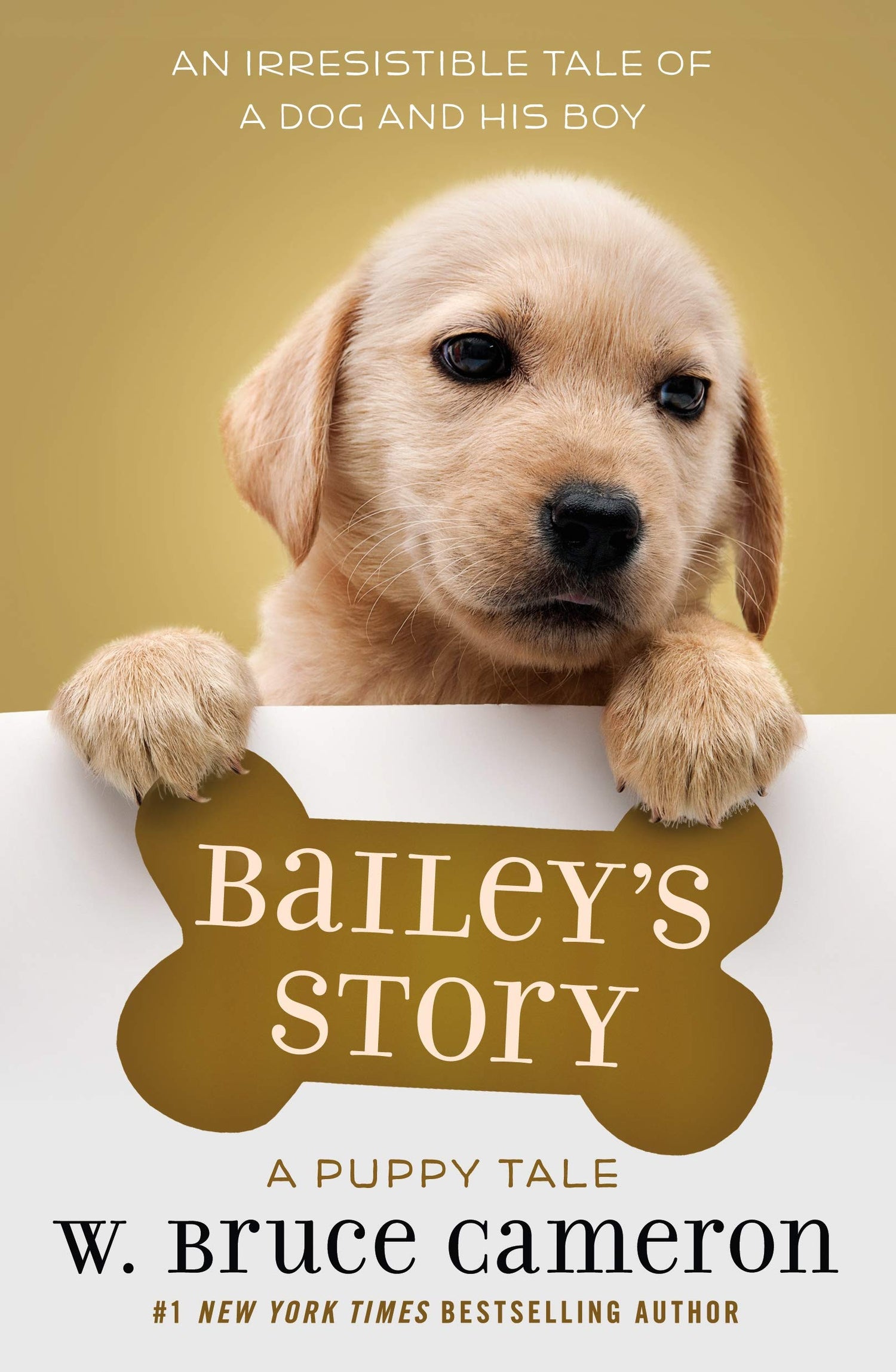 Bailey's Story-rebooked, children's book, teenager's book, second hand book, english book, 小童書，青少年書，二手書，英文書