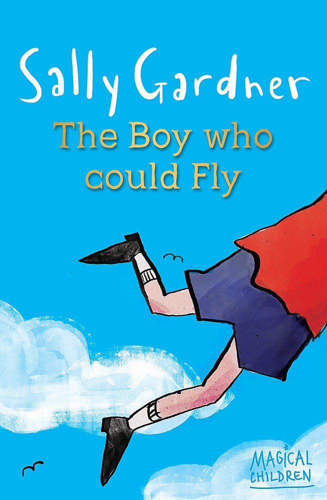 The Boy Who Could Fly-rebooked, children's book, teenager's book, second hand book, english book, 小童書，青少年書，二手書，英文書