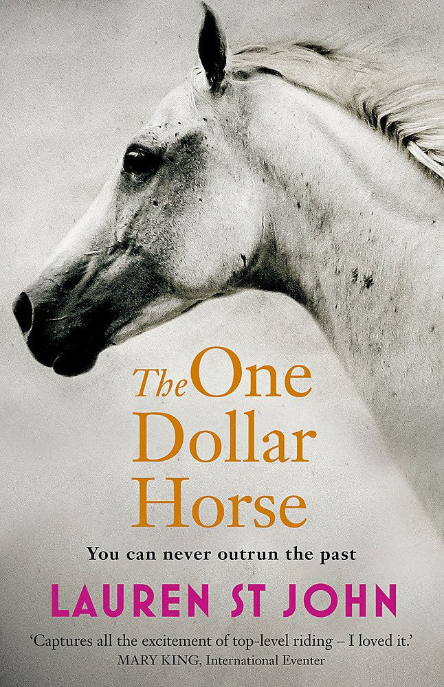The One Dollar Horse-rebooked, children's book, teenager's book, second hand book, english book, 小童書，青少年書，二手書，英文書