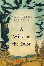 A Wrinkle in Time (Book 2) - "A Wind in the Door"-rebooked, children's book, teenager's book, second hand book, english book, 小童書，青少年書，二手書，英文書