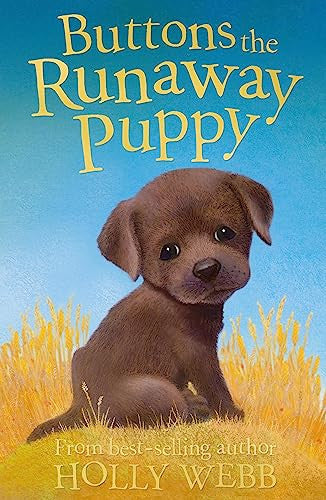 Buttons the Runaway Puppy-rebooked, children's book, teenager's book, second hand book, english book, 小童書，青少年書，二手書，英文書