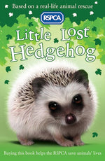 A Little Lost Hedgehog-rebooked, children's book, teenager's book, second hand book, english book, 小童書，青少年書，二手書，英文書