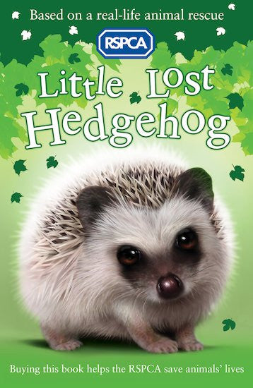 A Little Lost Hedgehog-rebooked, children's book, teenager's book, second hand book, english book, 小童書，青少年書，二手書，英文書