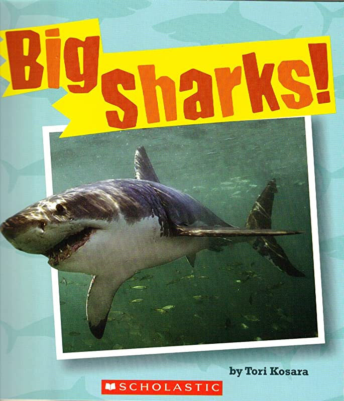 Big Sharks!-rebooked, children's book, teenager's book, second hand book, english book, 小童書，青少年書，二手書，英文書