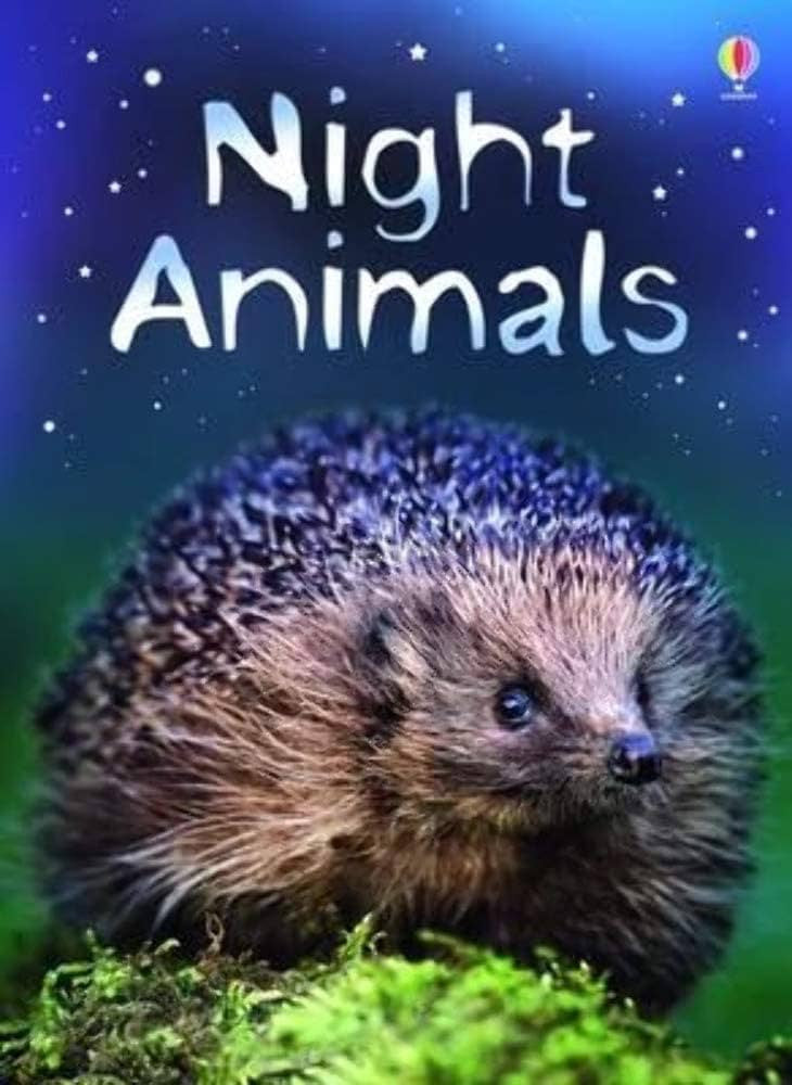 Night Animals-rebooked, children's book, teenager's book, second hand book, english book, 小童書，青少年書，二手書，英文書