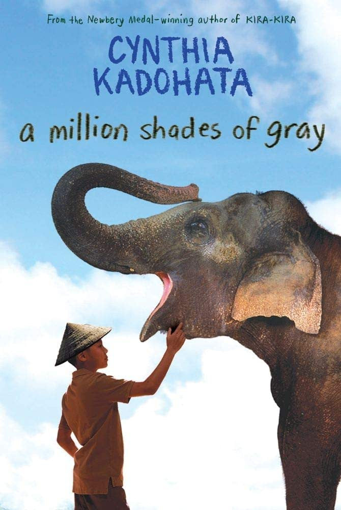 A Million Shades of Gray-rebooked, children's book, teenager's book, second hand book, english book, 小童書，青少年書，二手書，英文書