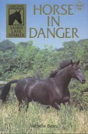 Horse in Danger-rebooked, children's book, teenager's book, second hand book, english book, 小童書，青少年書，二手書，英文書
