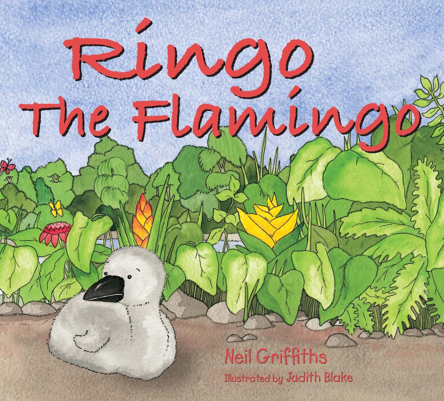 Ringo the Flamingo-rebooked, children's book, teenager's book, second hand book, english book, 小童書，青少年書，二手書，英文書