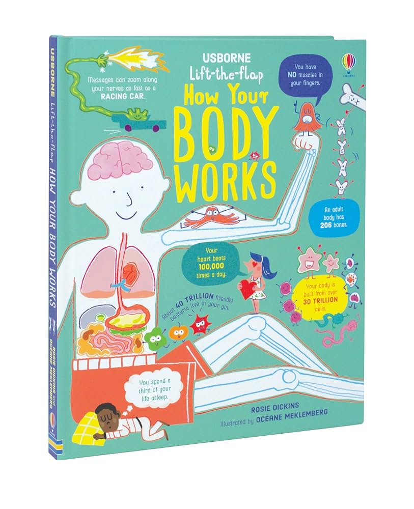 Usborne Lift-the flap - "How Your Body Works"