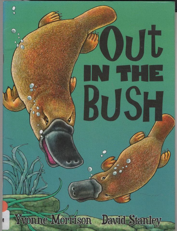 Out in the Bush
